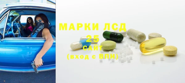PSILOCYBIN Аркадак