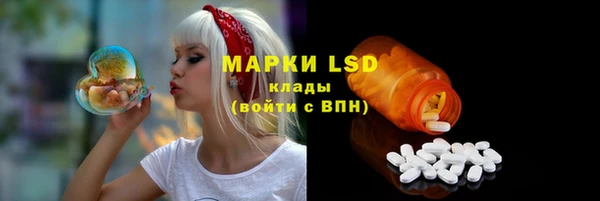 PSILOCYBIN Аркадак