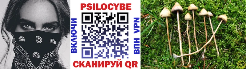 Галлюциногенные грибы Psilocybine cubensis  Спасск-Дальний 